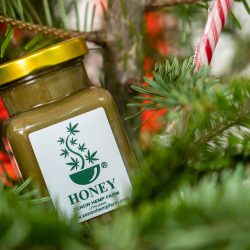 Honey hemp made on Zenon Hemp Farm