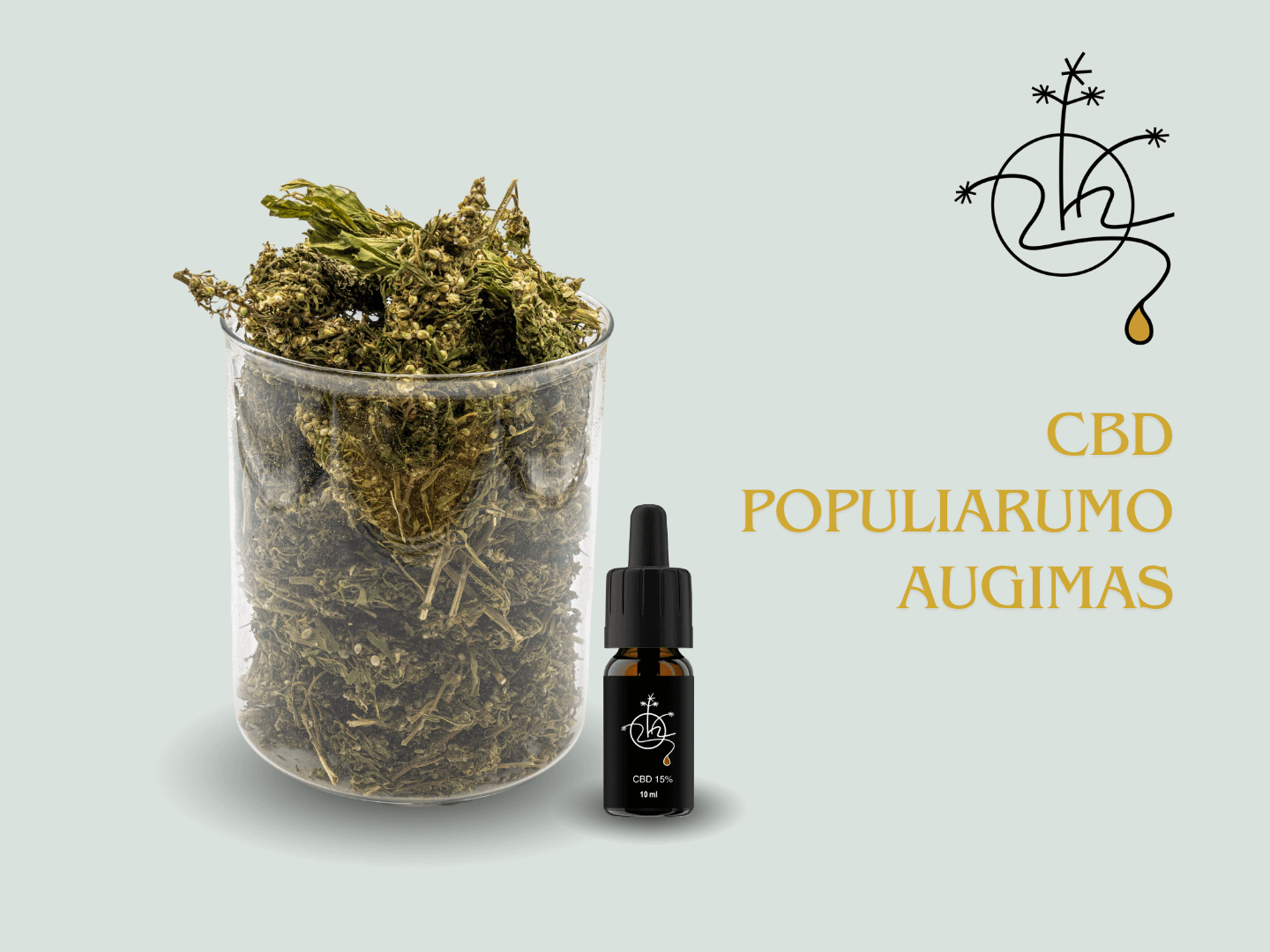 CBD aliejaus populiarumo augimas JAV ir pasaulyje. Zenono Kanapių Ūkis